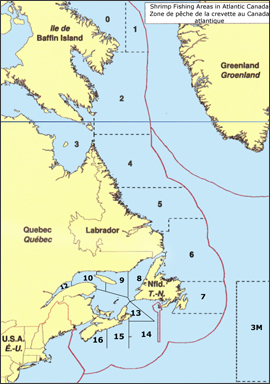 Canadian Northern Shrimp Industry
